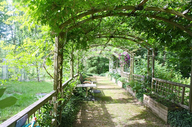 Arbor and Trellis