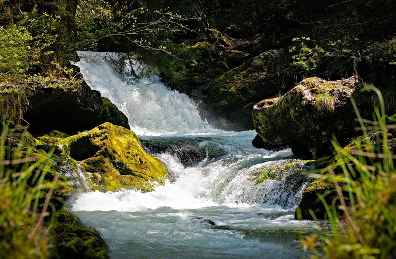 Trickling Stream